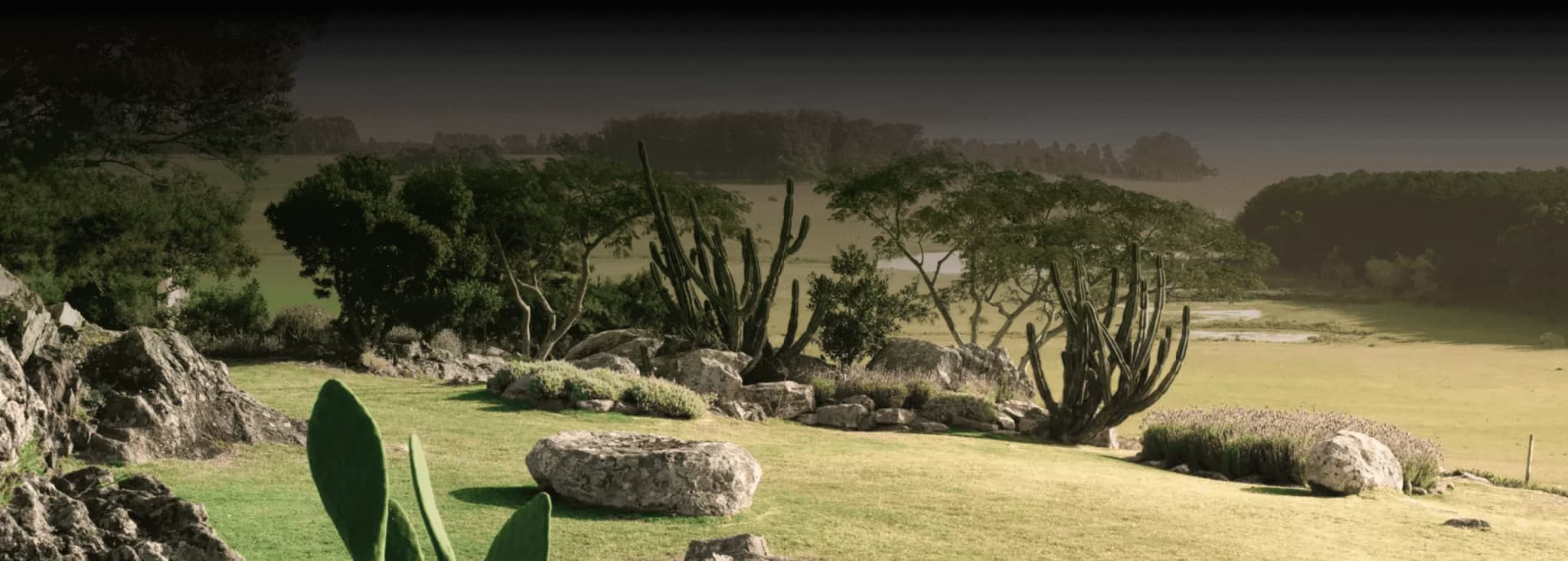 Paisagem da costa de Punta del Este