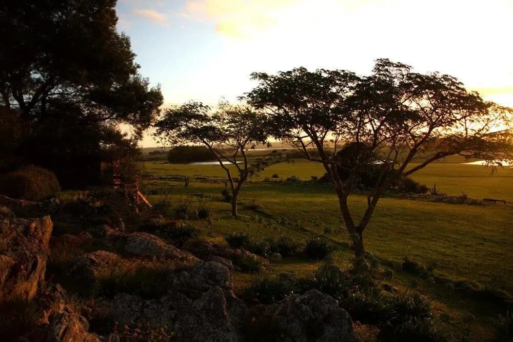 Paisagem natural do Las Piedras