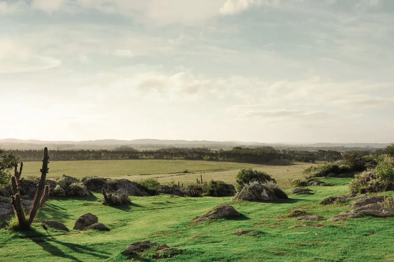 Lotes com vista para o campo de golfe de 18 buracos de Arnold Palmer no Fasano Las Piedras